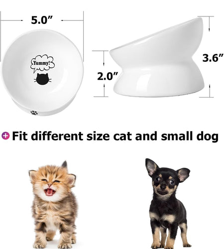 Cat Bowl anti Vomiting, Raised Food Bowls, Tilted Elevated Bowl, Ceramic Pet Food Bowl for Flat Faced Cats, Small Dogs, Protect Pet'S Spine, Dishwasher Safe (5 Inches, White)